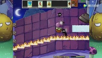 吃瓜娱乐大世界,吃瓜娱乐大世界全解析