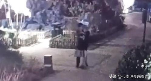 吃瓜比赛视频完整版