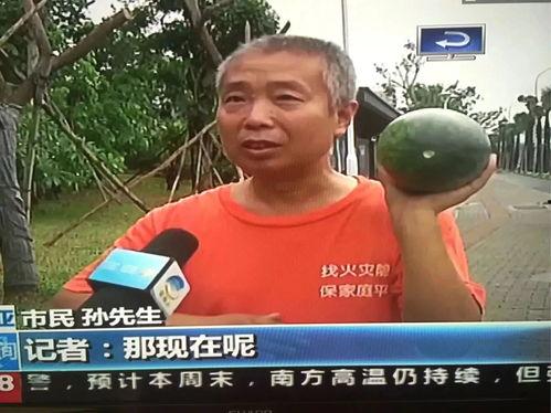 娱乐吃瓜热点事件视频