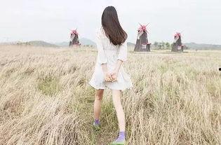 娱乐吃瓜酱背影,背后的故事与魅力