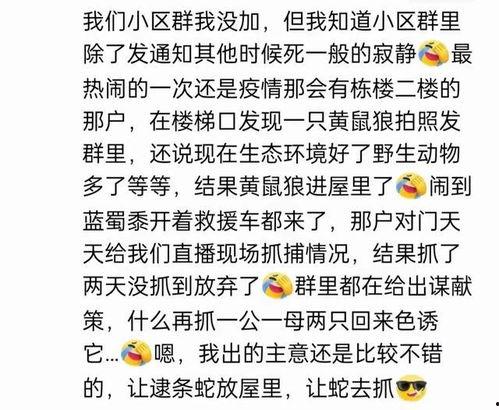 娱乐吃瓜群名叫什么名字