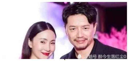 娱乐圈为什么有明星吃瓜,明星“吃瓜”现象背后的真相