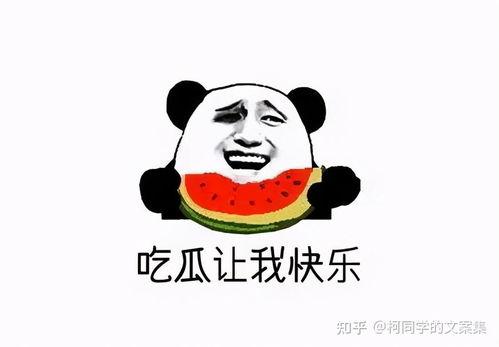 娱乐吃瓜酱学不进去了,学不进去了，揭秘学习困境背后的娱乐诱惑  第3张