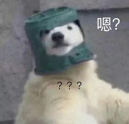 羊了个羊吃瓜娱乐  第2张