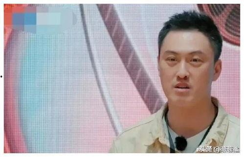 娱乐圈吃瓜爆料黄磊是谁,娱乐圈吃瓜爆料中的神秘人物  第3张