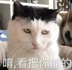 娱乐圈吃瓜猫咪是谁啊  第3张