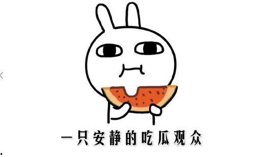 回复吃瓜表情的注意事项 第3张 回复吃瓜表情的注意事项 第3张